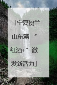 宁夏贺兰山东麓 “红酒+”激发新活力