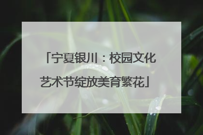 宁夏银川：校园文化艺术节绽放美育繁花