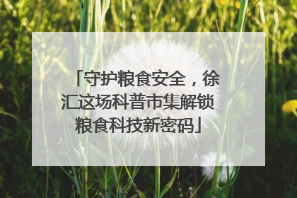 守护粮食安全，徐汇这场科普市集解锁粮食科技新密码
