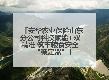 安华农业保险山东分公司科技赋能+双精准 筑牢粮食安全“稳定器”