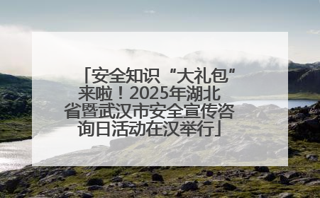 安全知识“大礼包”来啦！2025年湖北省暨武汉市安全宣传咨询日活动在汉举行