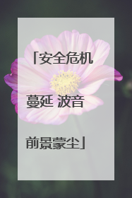 安全危机蔓延 波音前景蒙尘