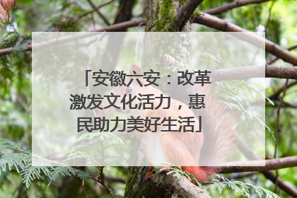 安徽六安：改革激发文化活力，惠民助力美好生活
