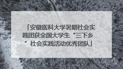 安徽医科大学暑期社会实践团获全国大学生“三下乡”社会实践活动优秀团队
