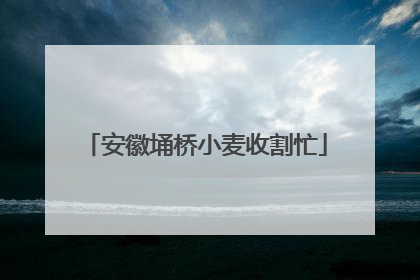 安徽埇桥小麦收割忙