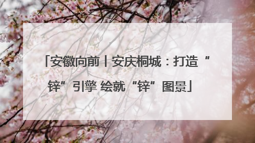 安徽向前丨安庆桐城：打造“锌”引擎 绘就“锌”图景