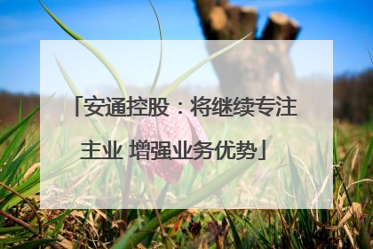 安通控股：将继续专注主业 增强业务优势