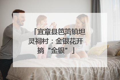 宜章县笆篱镇坦灵祠村：金银花开摘“金银”