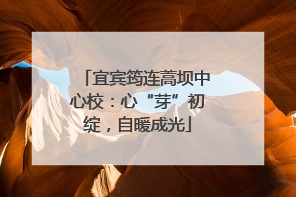 宜宾筠连蒿坝中心校：心“芽”初绽，自暖成光
