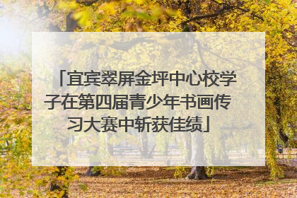 宜宾翠屏金坪中心校学子在第四届青少年书画传习大赛中斩获佳绩