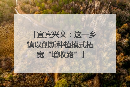 宜宾兴文：这一乡镇以创新种植模式拓宽“增收路”
