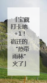 宝藏打卡地+1！宿迁的“热带雨林”火了