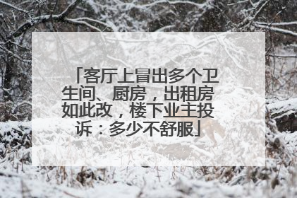 客厅上冒出多个卫生间、厨房，出租房如此改，楼下业主投诉：多少不舒服