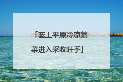 塞上平原冷凉蔬菜进入采收旺季
