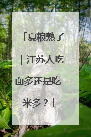 夏粮熟了｜江苏人吃面多还是吃米多？