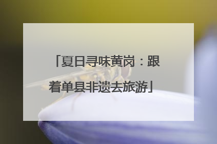 夏日寻味黄岗：跟着单县非遗去旅游