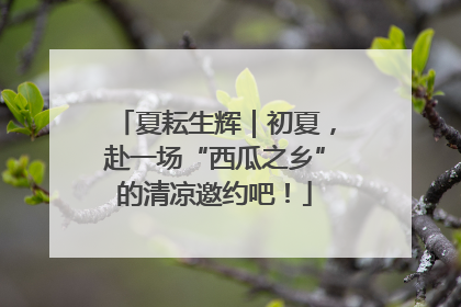 夏耘生辉｜初夏，赴一场“西瓜之乡”的清凉邀约吧！