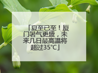 夏至已至！厦门暑气更盛，未来几日最高温将超过35℃
