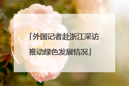 外国记者赴浙江采访推动绿色发展情况