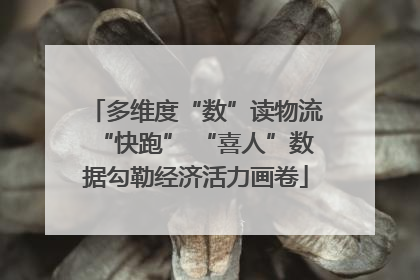 多维度“数”读物流“快跑” “喜人”数据勾勒经济活力画卷