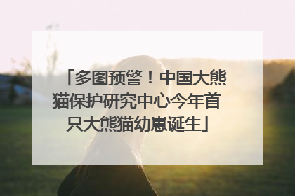 多图预警！中国大熊猫保护研究中心今年首只大熊猫幼崽诞生