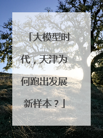大模型时代，天津为何跑出发展新样本？