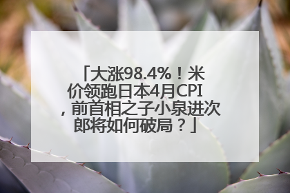 大涨98.4%！米价领跑日本4月CPI，前首相之子小泉进次郎将如何破局？