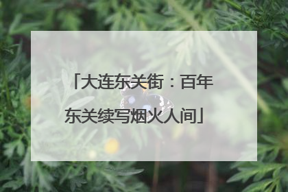 大连东关街：百年东关续写烟火人间