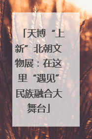 天博“上新”北朝文物展：在这里“遇见”民族融合大舞台