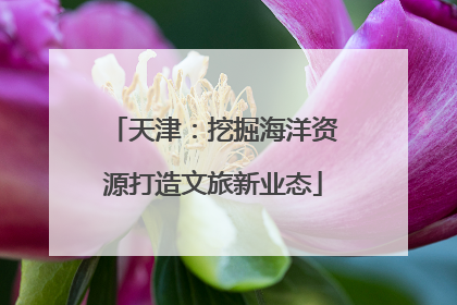 天津：挖掘海洋资源打造文旅新业态