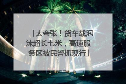 太夸张！货车载泡沫超长七米，高速服务区被民警抓现行
