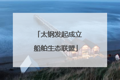 太钢发起成立船舶生态联盟