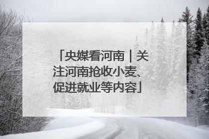 央媒看河南｜关注河南抢收小麦、促进就业等内容
