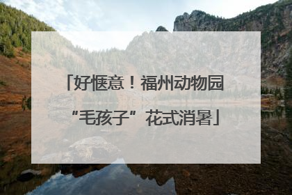 好惬意！福州动物园“毛孩子”花式消暑