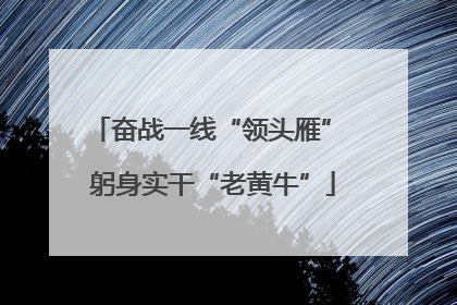 奋战一线“领头雁” 躬身实干“老黄牛”