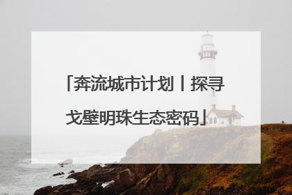 奔流城市计划丨探寻戈壁明珠生态密码