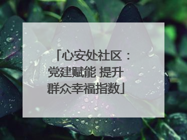 心安处社区：党建赋能 提升群众幸福指数