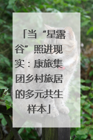 当“星露谷”照进现实：康旅集团乡村旅居的多元共生样本