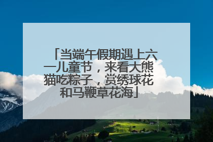当端午假期遇上六一儿童节，来看大熊猫吃粽子，赏绣球花和马鞭草花海