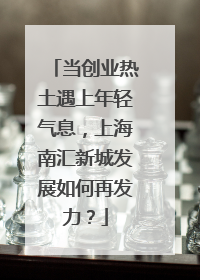 当创业热土遇上年轻气息，上海南汇新城发展如何再发力？