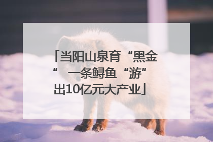 当阳山泉育“黑金” 一条鲟鱼“游”出10亿元大产业