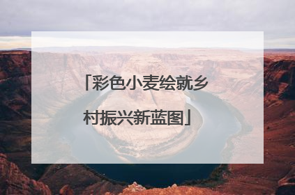 彩色小麦绘就乡村振兴新蓝图
