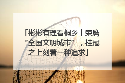 彬彬有理看桐乡丨荣膺“全国文明城市”，桂冠之上刻着一种追求