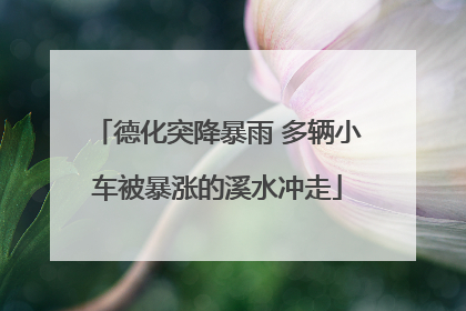 德化突降暴雨 多辆小车被暴涨的溪水冲走