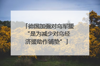 德国加强对乌军援 “是为减少对乌经济援助作铺垫”