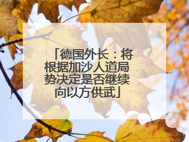 德国外长：将根据加沙人道局势决定是否继续向以方供武