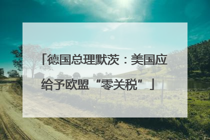 德国总理默茨：美国应给予欧盟“零关税”