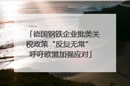 德国钢铁企业批美关税政策“反复无常” 呼吁欧盟加强应对