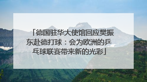 德国驻华大使馆回应樊振东赴德打球：会为欧洲的乒乓球联赛带来新的光彩