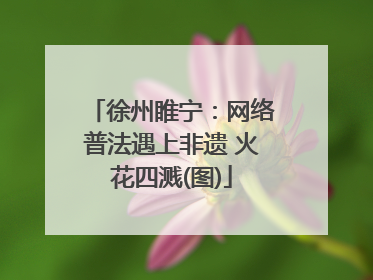 徐州睢宁：网络普法遇上非遗 火花四溅(图)